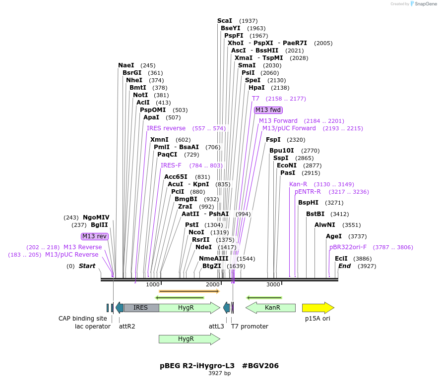 71726_map