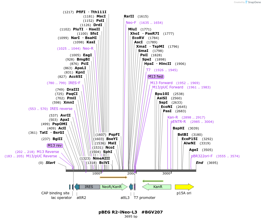 71728_map