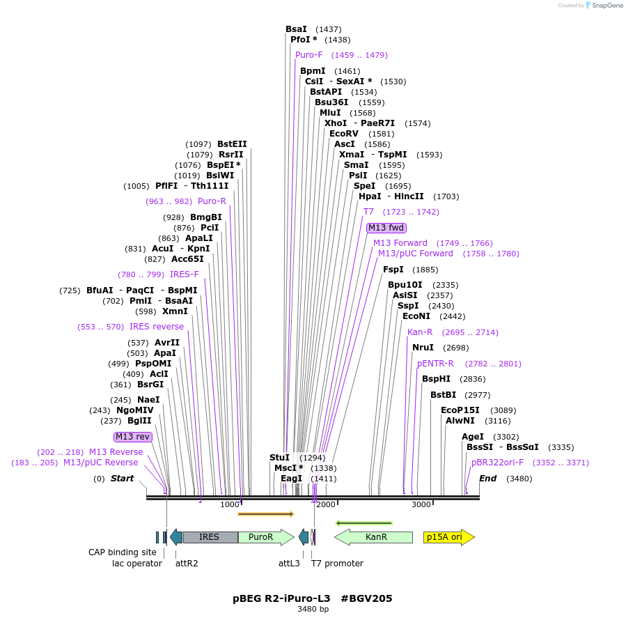 71730_map