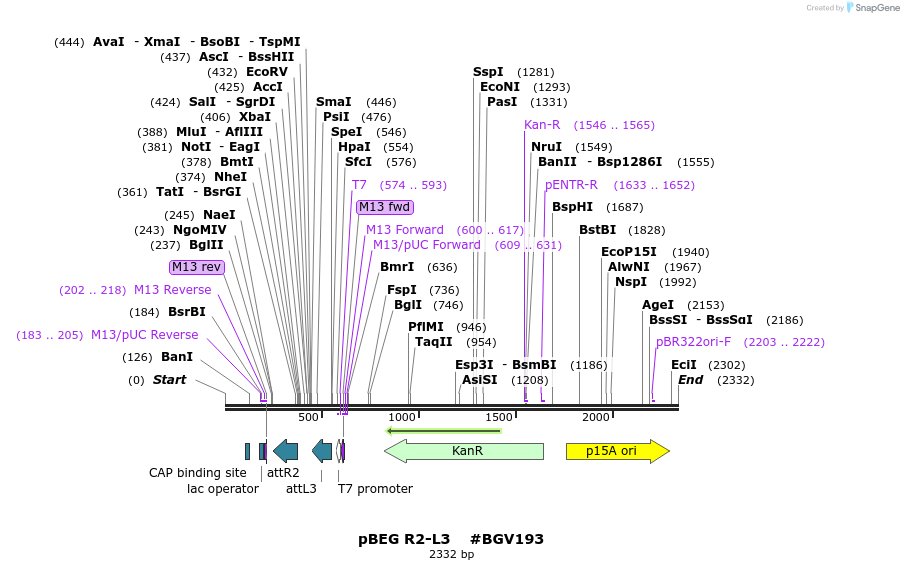 71733_map