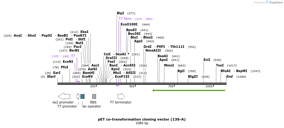 71735_map