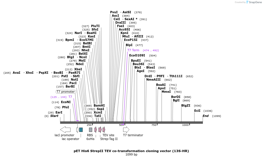 71737_map