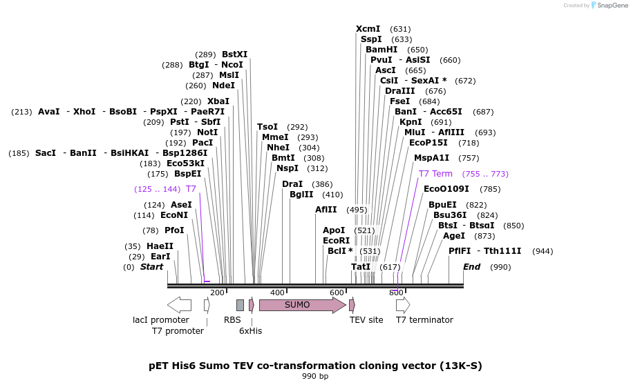 71747_map