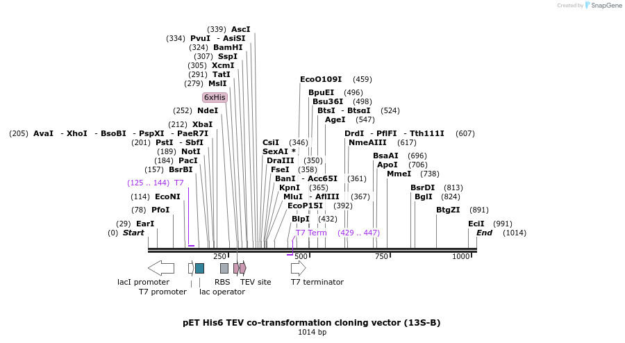 71750_map