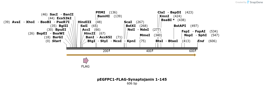 71751_map
