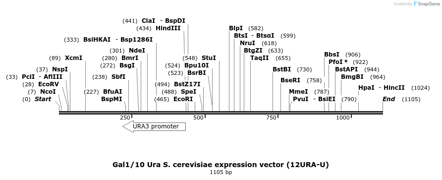71752_map