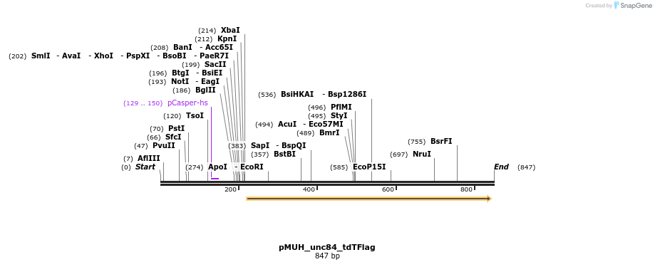 71755_map