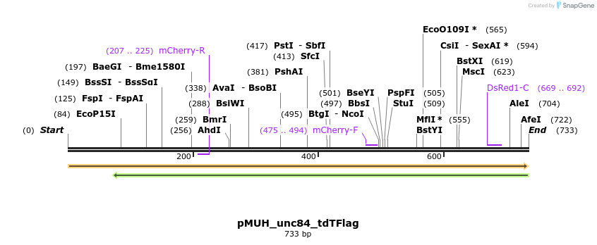71759_map