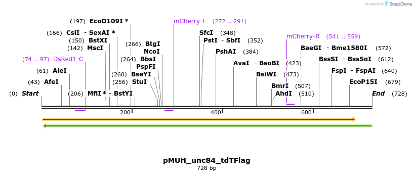 71761_map