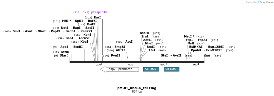 71762_map