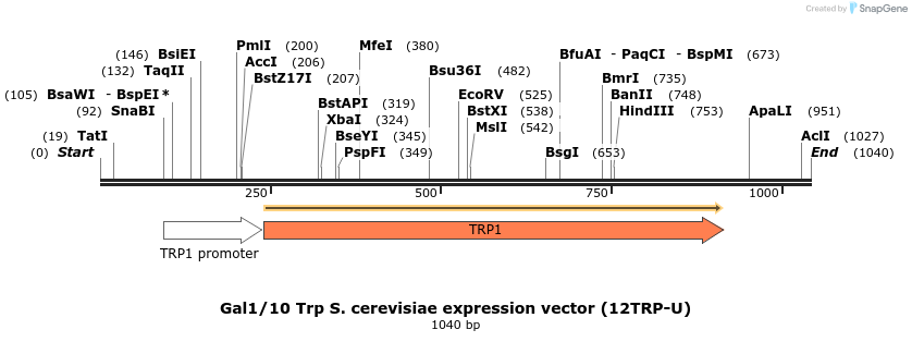 71765_map