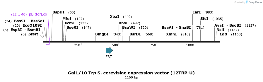 71766_map