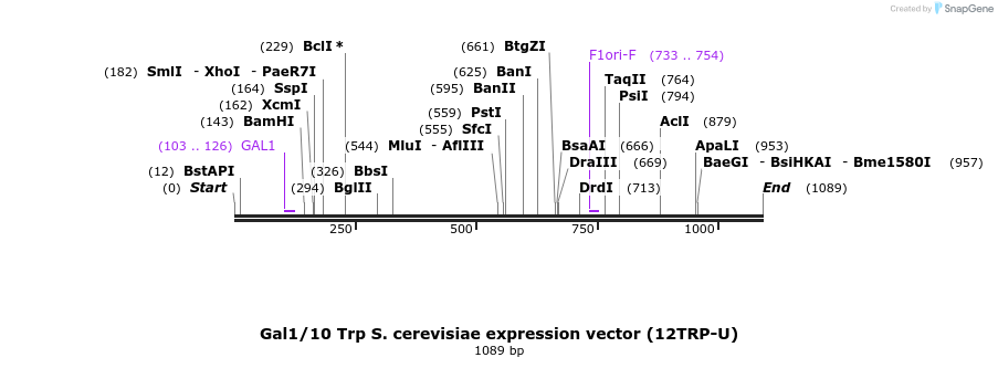 71767_map