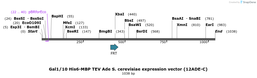 71770_map