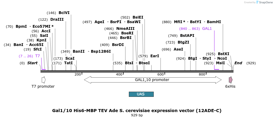 71771_map