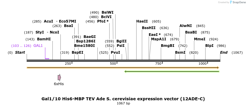 71772_map