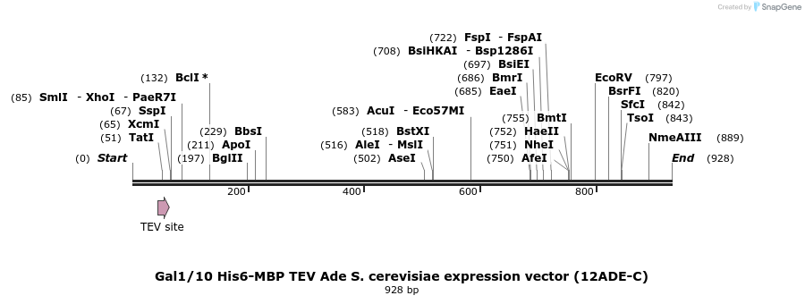 71774_map
