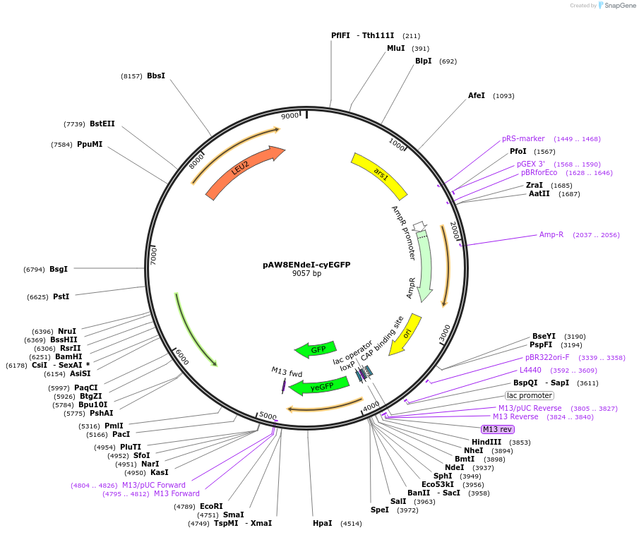 71775_map
