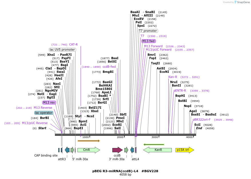 71778_map
