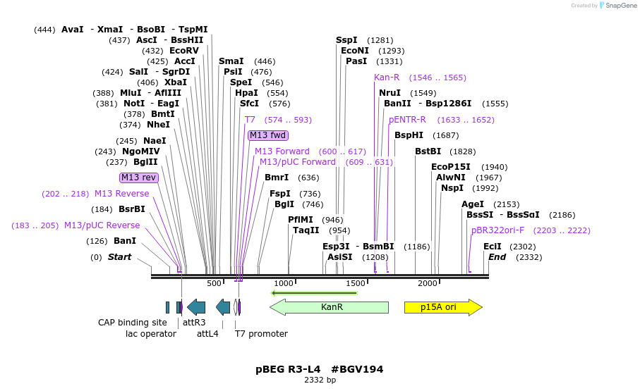 71779_map