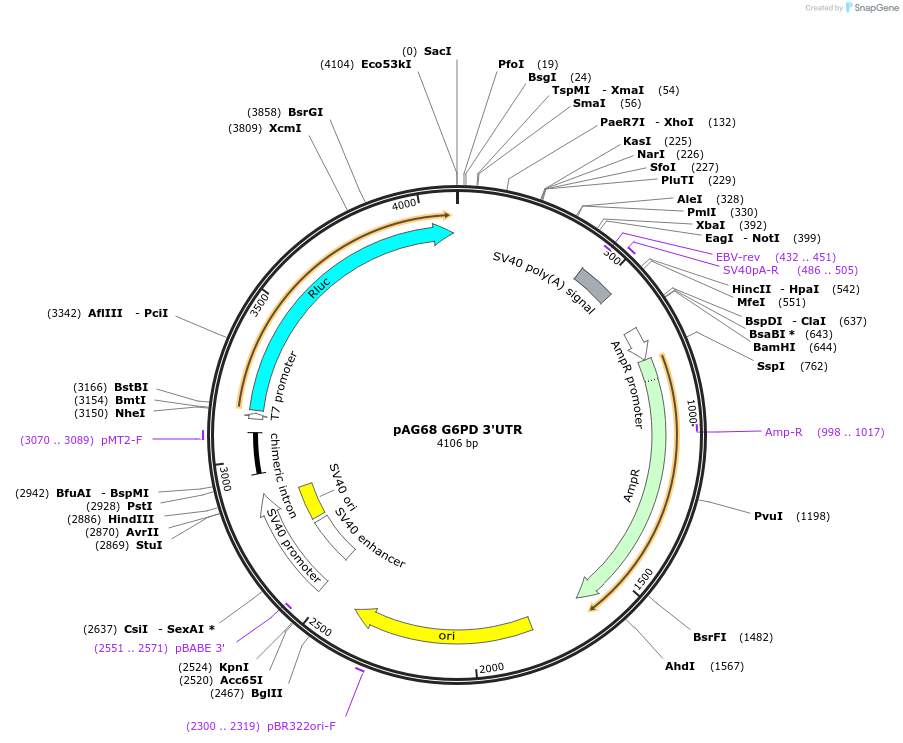 7178_map