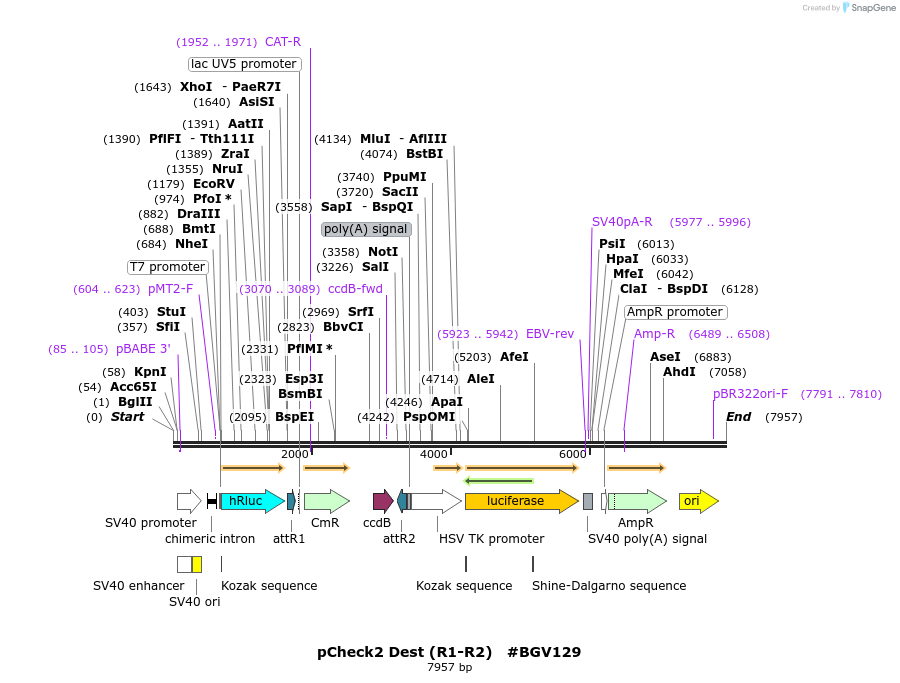71780_map