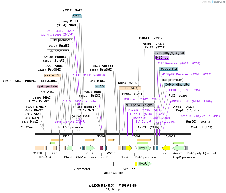 71781_map