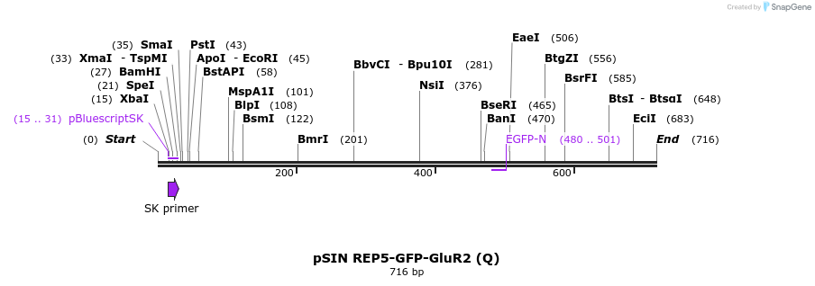 71782_map