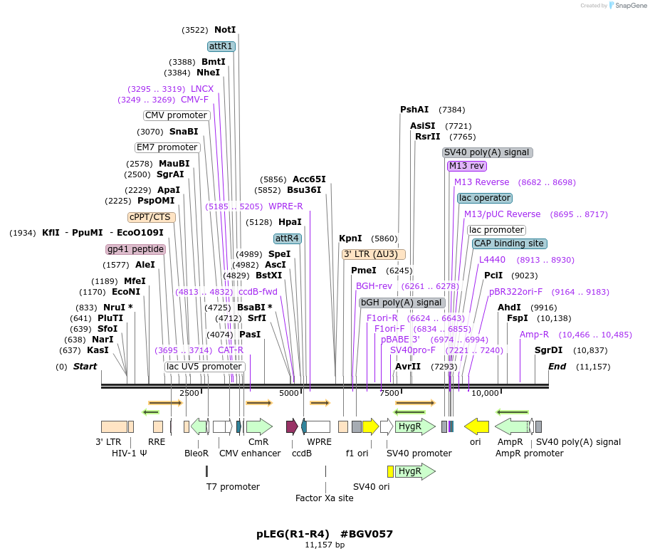 71784_map