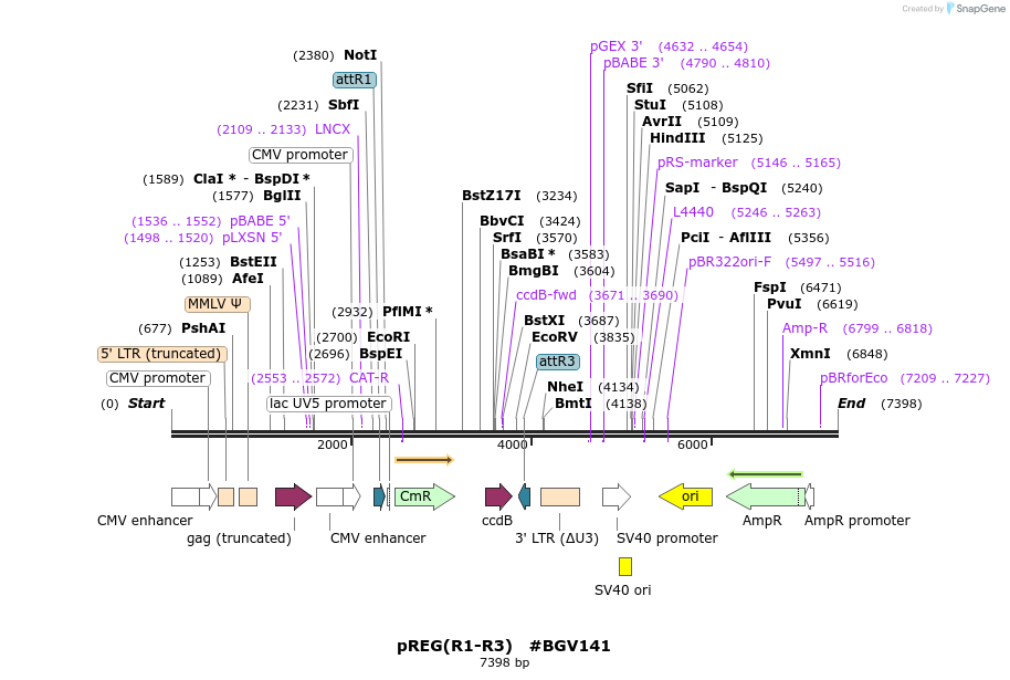 71785_map