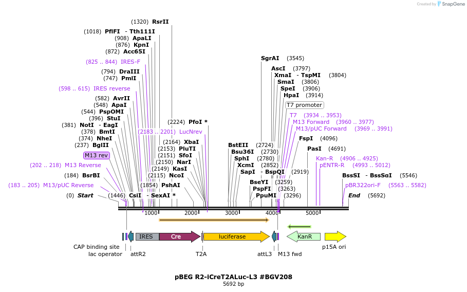 71789_map