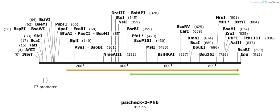 71794_map