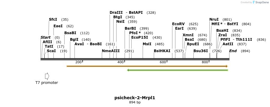 71798_map