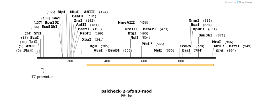 71802_map