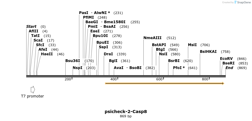 71804_map