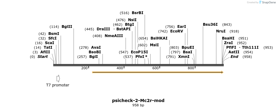 71805_map