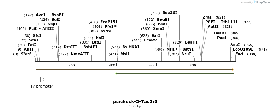 71810_map