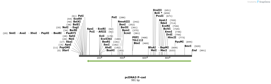 71813_map