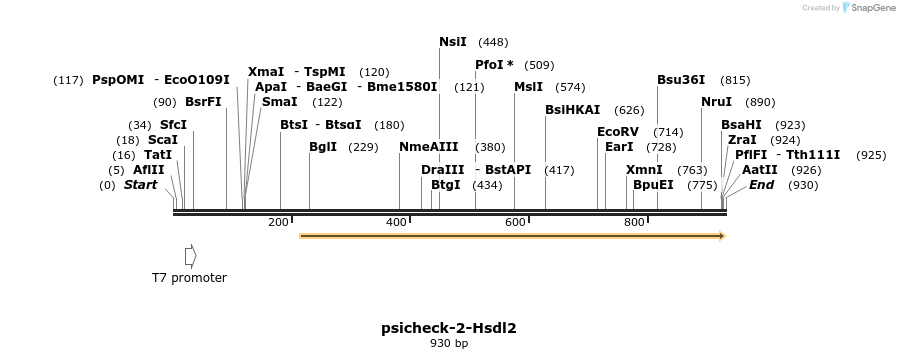 71816_map
