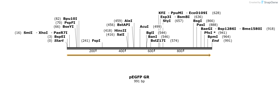 71817_map