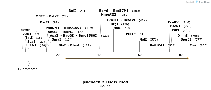 71818_map