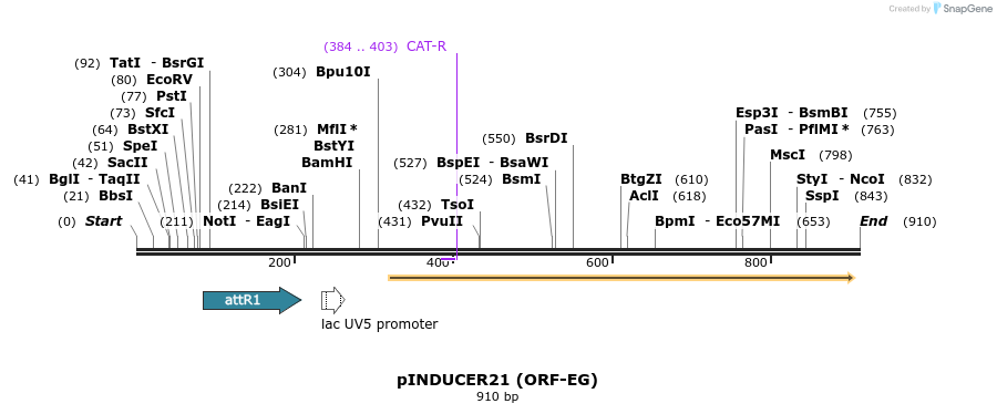 71819_map