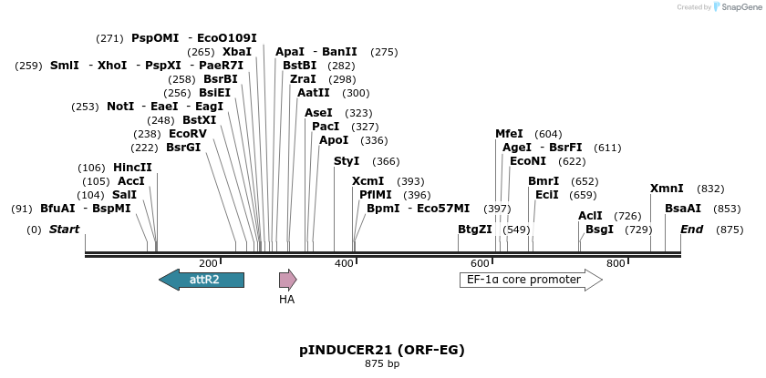 71821_map