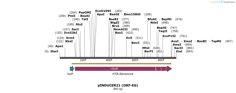 71822_map