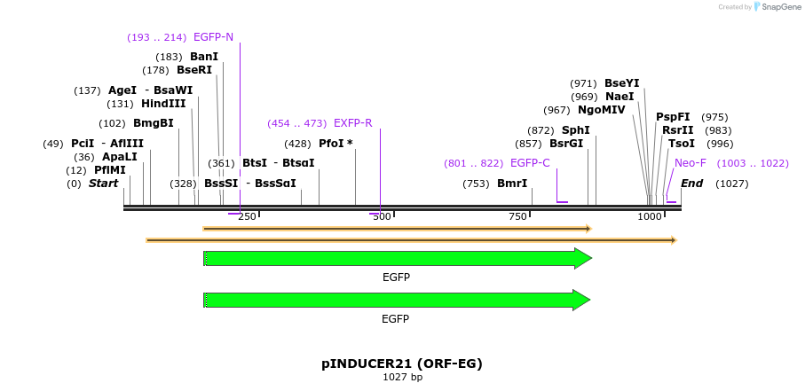 71823_map