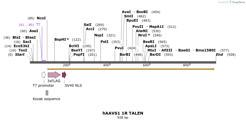 71826_map