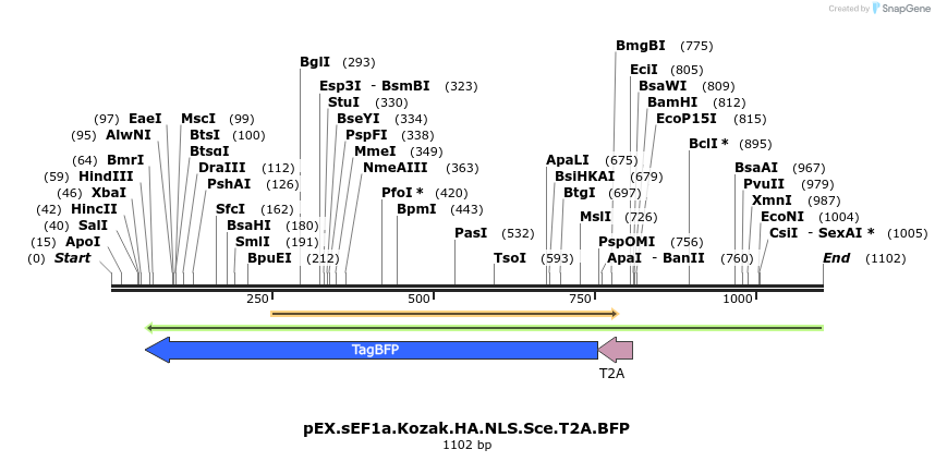 71828_map