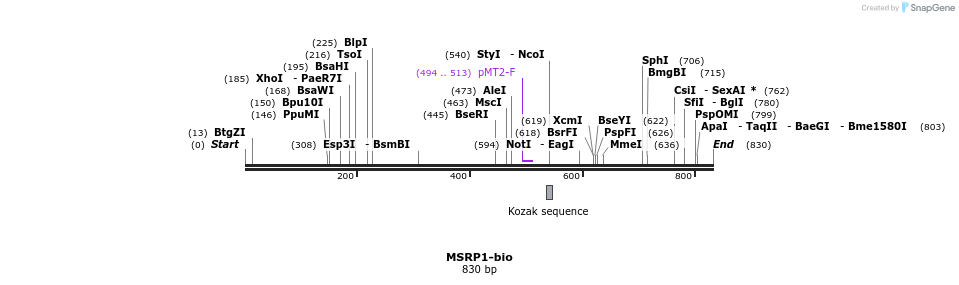 71831_map