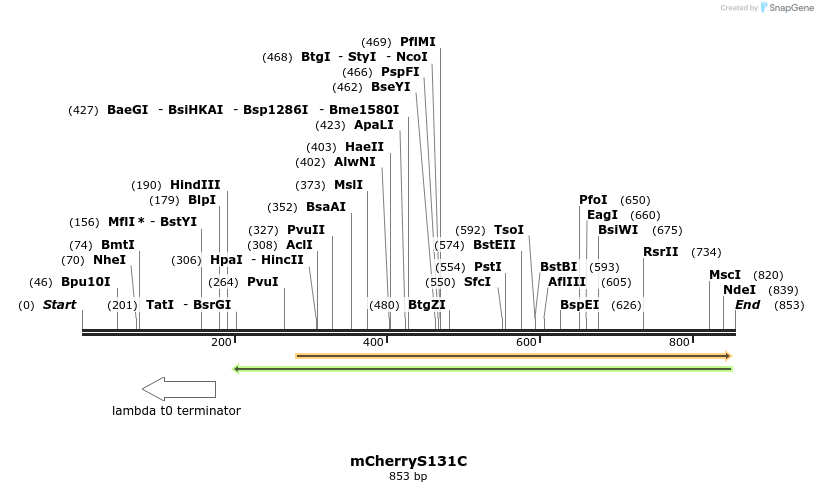 71856_map