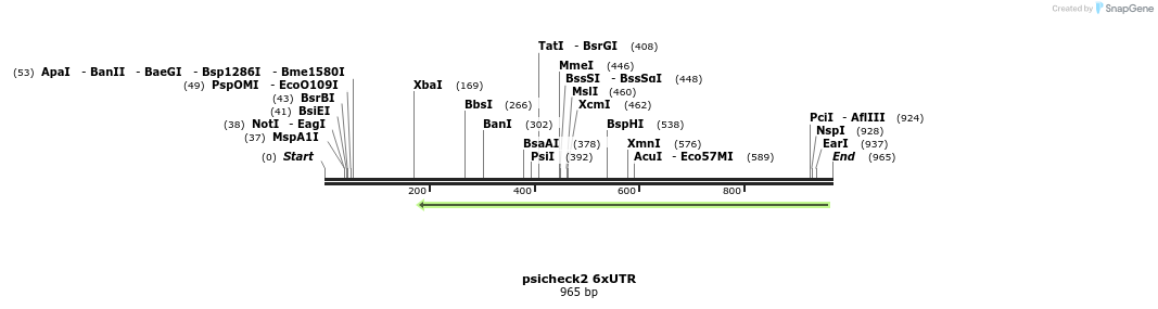 71881_map